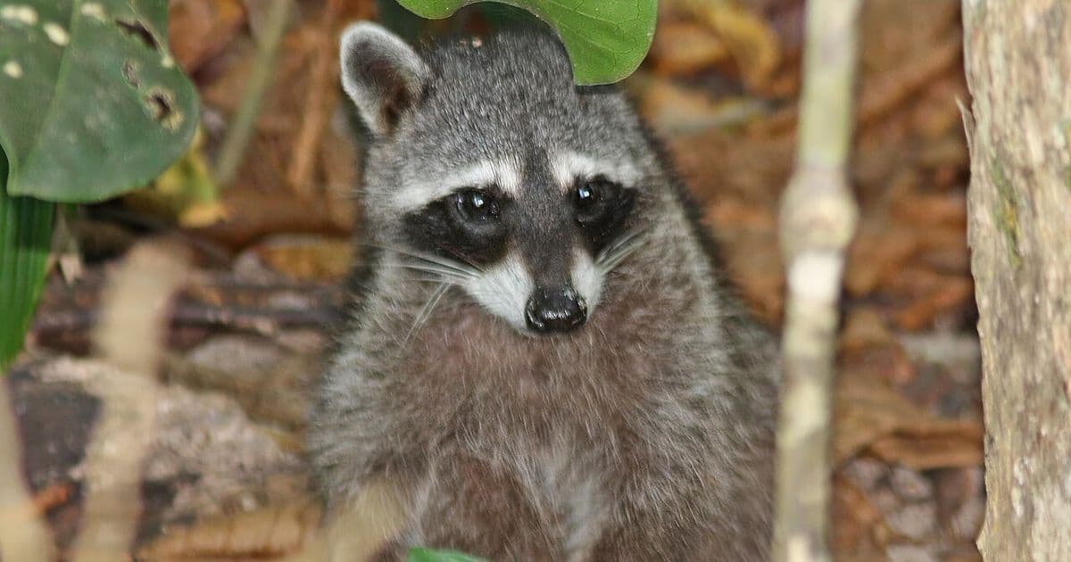 Costa Rica Best Beaches: Top Picks for Every Type of Traveler