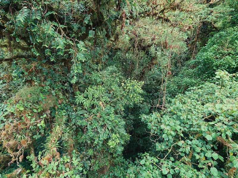 costa rica best places to visit - Monteverde and the Cloud Forest