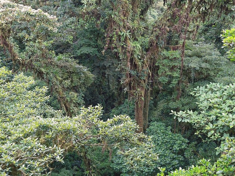 costa rica best places to visit - Guanacaste and the Northern Pacific Coast