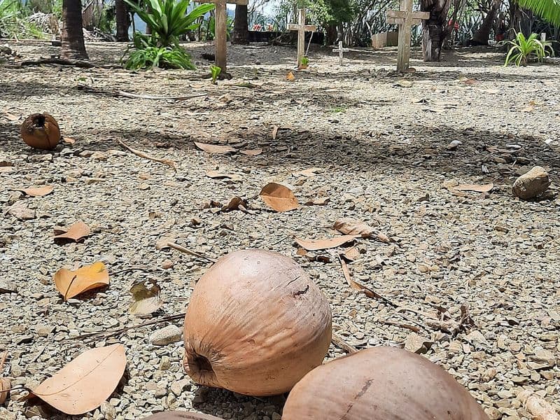 costa rica blue zone - The Traditional Nicoyan Diet