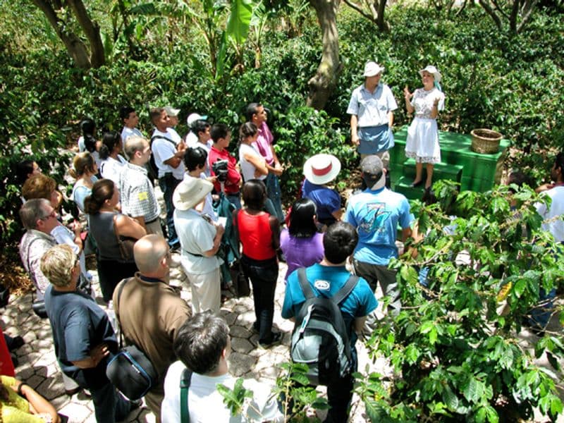 costa rica coffee - Growing Regions and Terroir