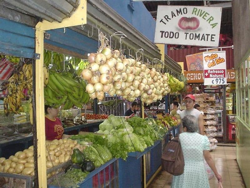 costa rica cost of living - Transportation Expenses