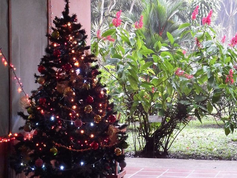 costa rica december - What to Do in Costa Rica in December