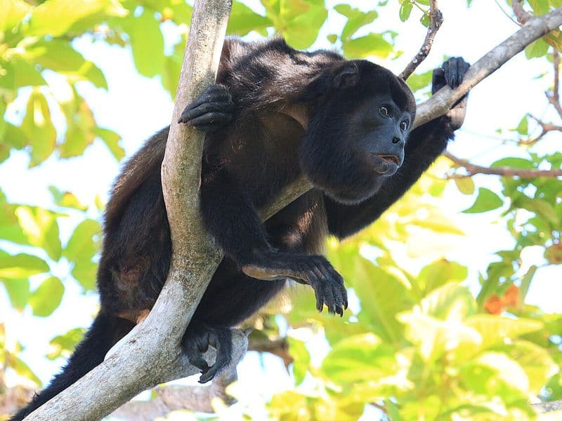 costa rica family resorts - Best Family Resorts in Guanacaste