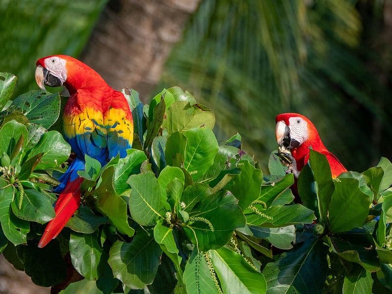 costa rica in april - Best Regions to Visit in April