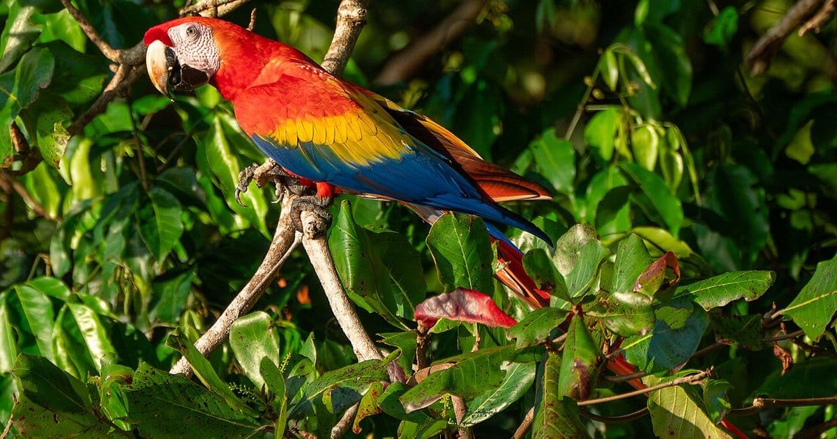 Costa Rica in April: Your Complete Travel Guide