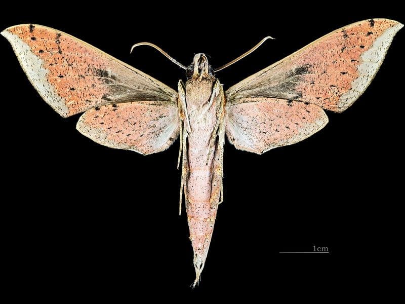 costa rica in august - Best Destinations for August Travel