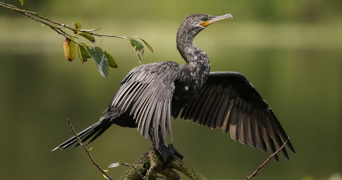 Costa Rica in August: Rainy Season Travel Guide