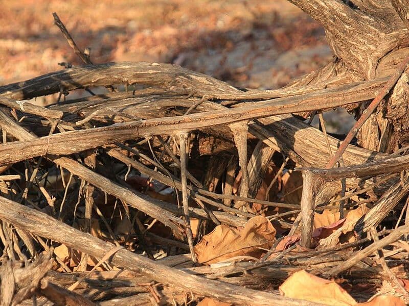 costa rica in february - Best Destinations for February Travel