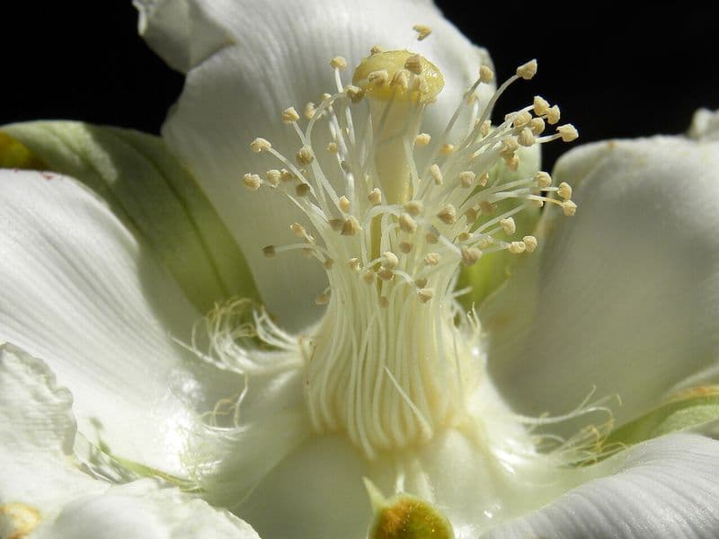 costa rica in january - Best Places to Visit in January