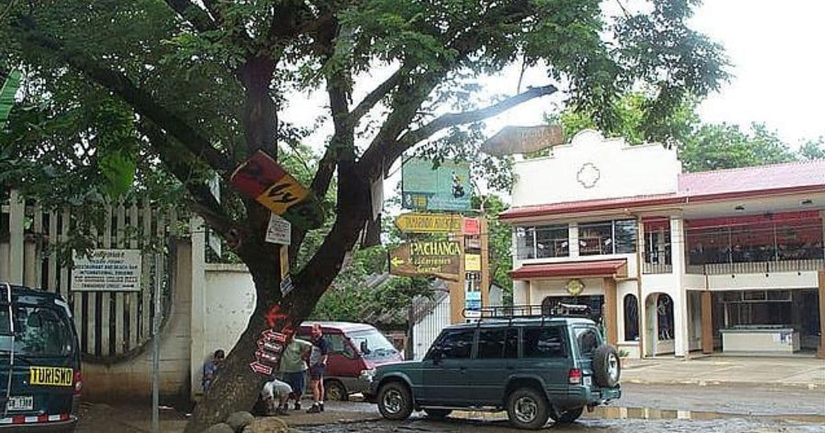 Costa Rica in January: Peak Season Travel Guide