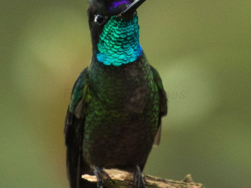 costa rica in march - Adventure Activities in March