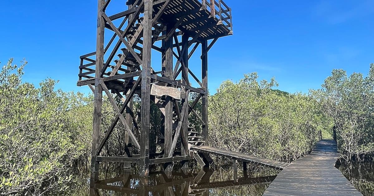 Costa Rica in November: The Shoulder Season Sweet Spot