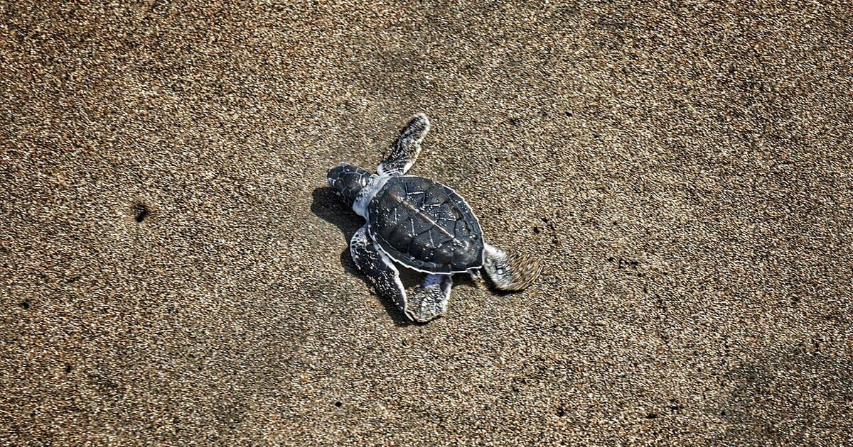 Costa Rica Weather in July: Green Season Guide