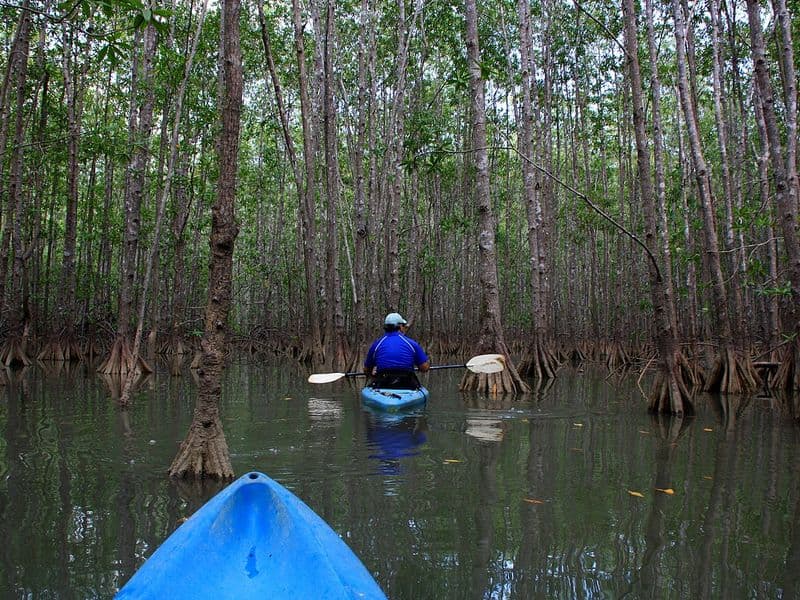 costa rica kayaking - Sea and Ocean Kayaking Destinations