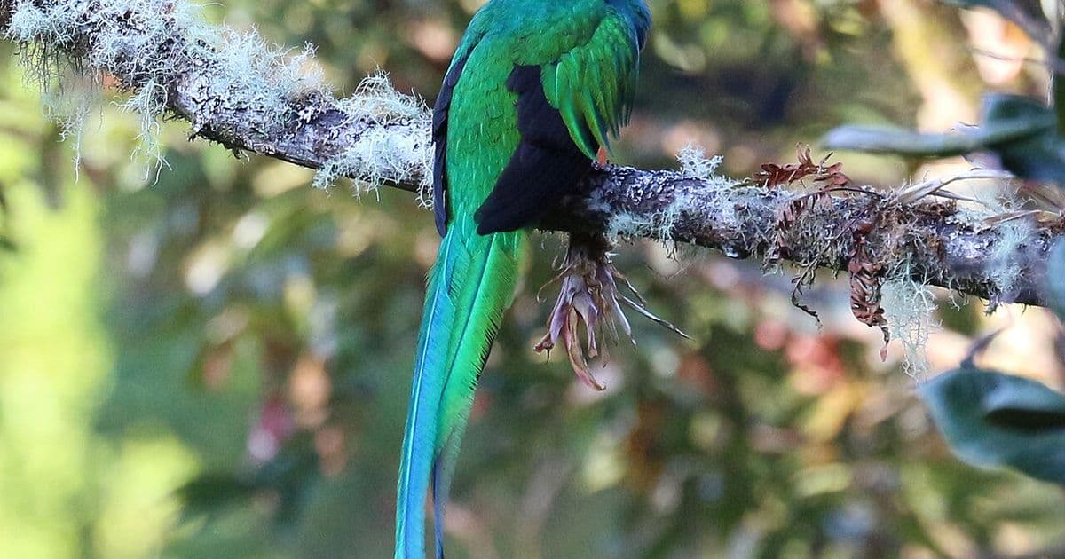 Costa Rica Map: Understanding the Country's Regions and Geography