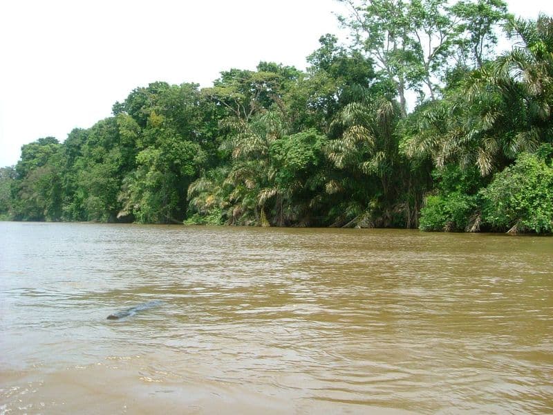 costa rica national parks - Corcovado National Park: The Crown Jewel