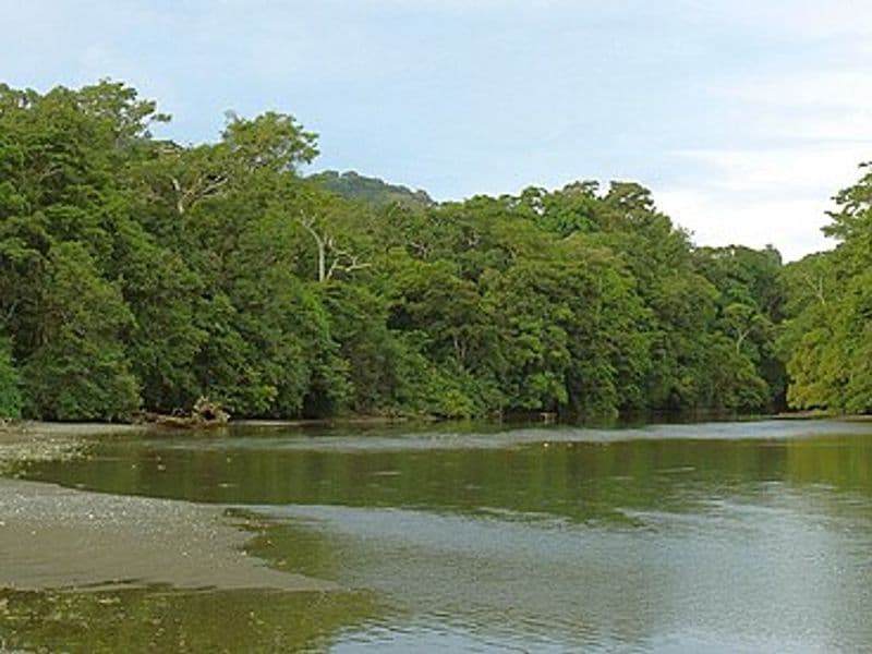 costa rica national parks - Manuel Antonio: Most Visited and Most Beautiful