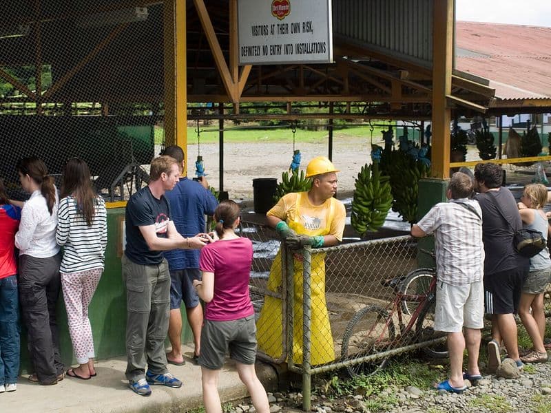 costa rica nightlife - Beach Town Nightlife: Tamarindo and Guanacaste