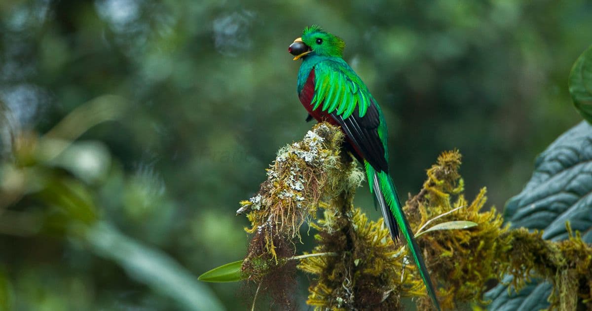 Costa Rica Nightlife: A Guide to Bars, Clubs, and Evening Entertainment