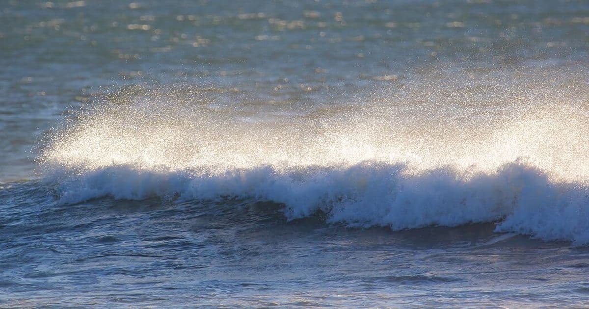 Costa Rica Ocean Guide: Two Coasts, Two Worlds