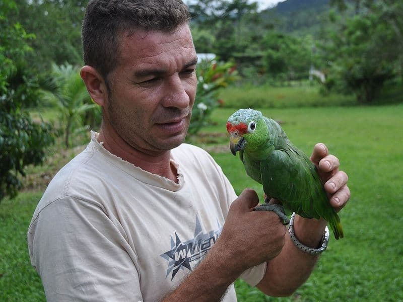 costa rica people - The Tico Character and Cultural Values