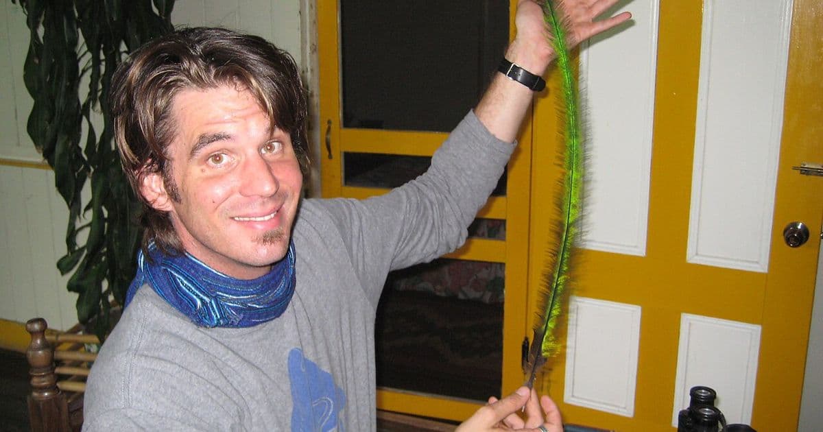 Costa Rica Quetzal Bird: Biology, Habitat, and the Best Places to See One