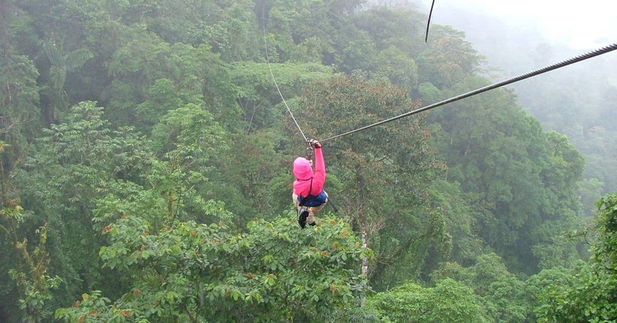 Costa Rica Rainforest: A Complete Guide to the World's Most Biodiverse Forests