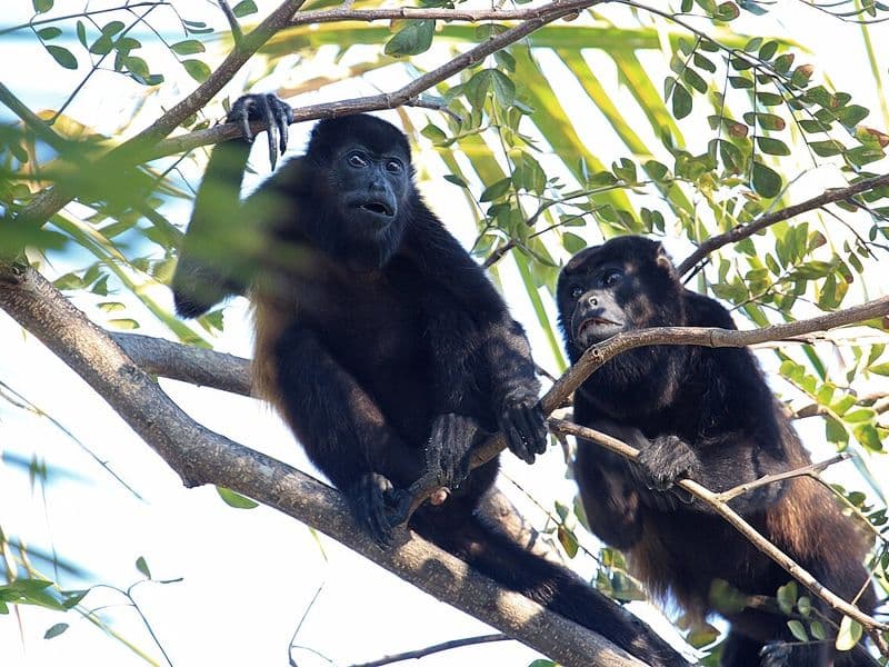 costa rica resorts for families - Multi-Age Family Activity Programming