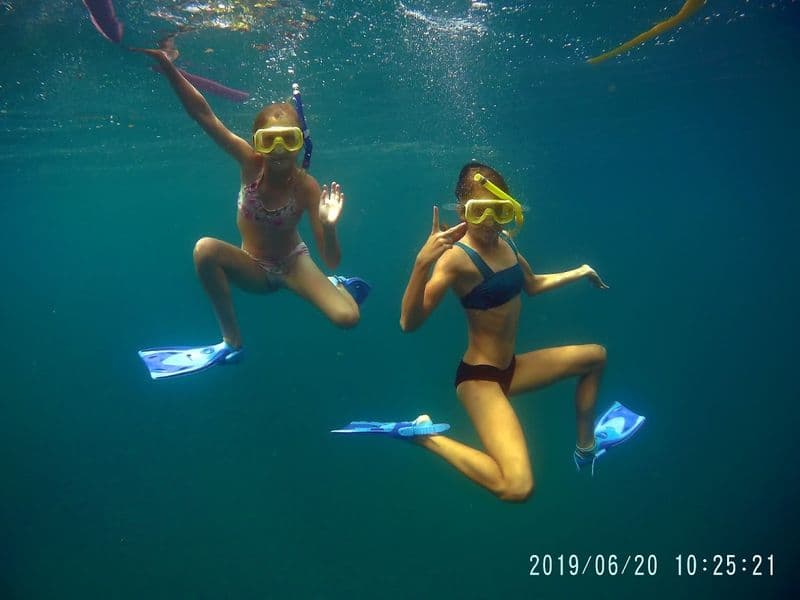 costa rica snorkeling - Marine Life You Will Encounter