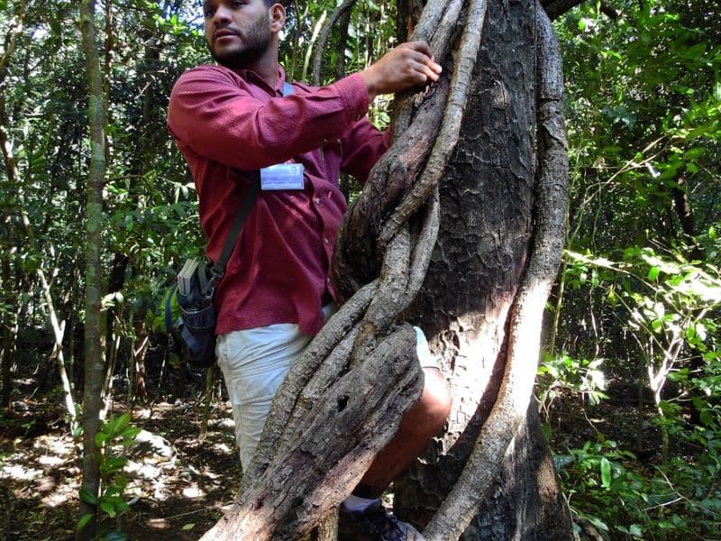 costa rica tours - Cultural and Coffee Tours