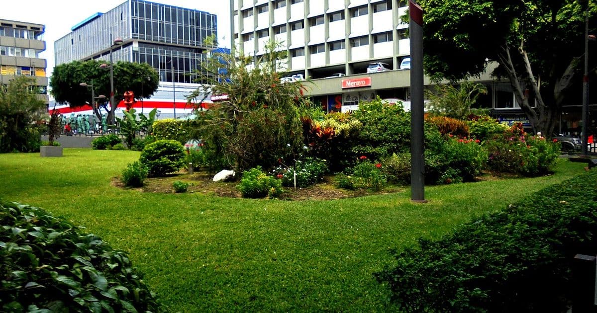 Costa Rica USD Exchange Rate: CRC/USD Explained for Travelers and Expats