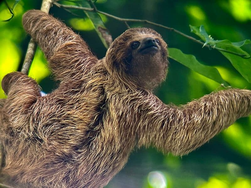 costa rica vacations - Popular Activities and Experiences