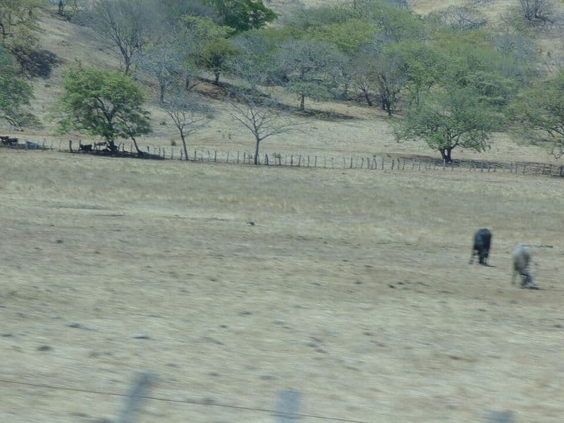 costa rica weather in april - Semana Santa: Planning Around Easter