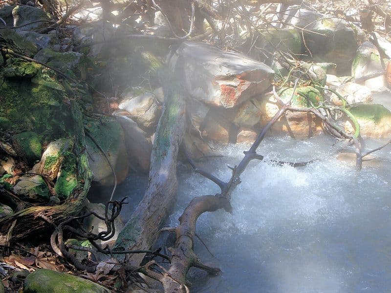 costa rica weather in february - February Temperatures by Region