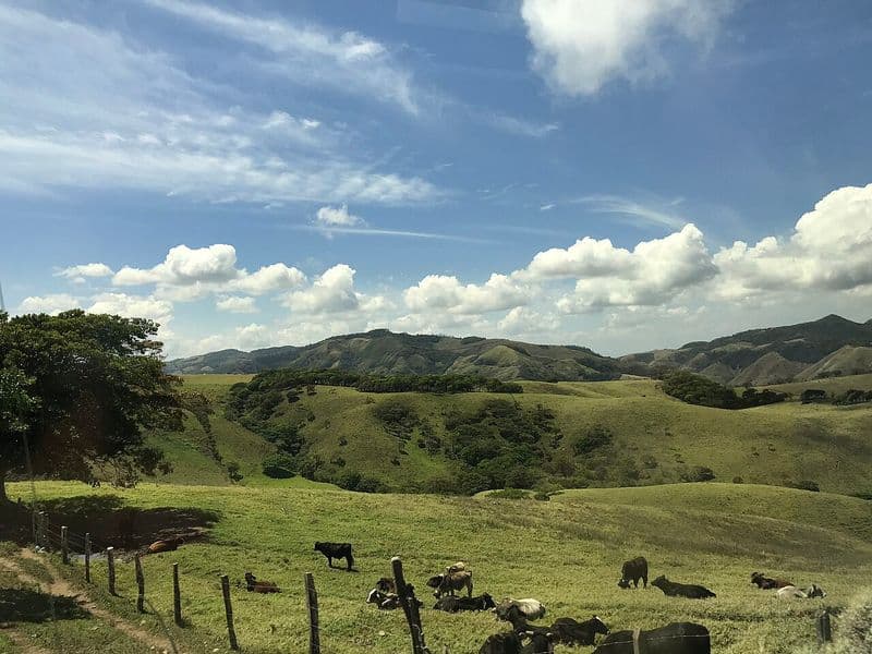 costa rica weather in january - San José and Central Valley in January