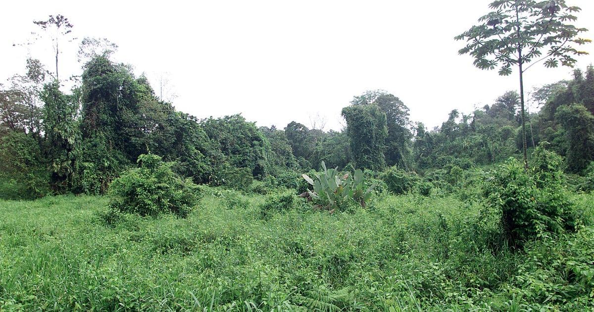 Costa Rica Weather in March: What to Expect