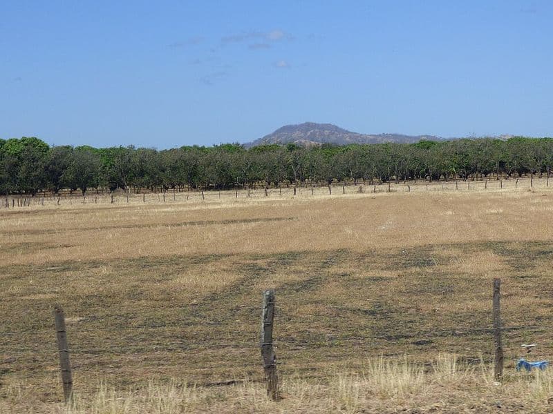 guanacaste costa rica weather - Dry Season in Guanacaste