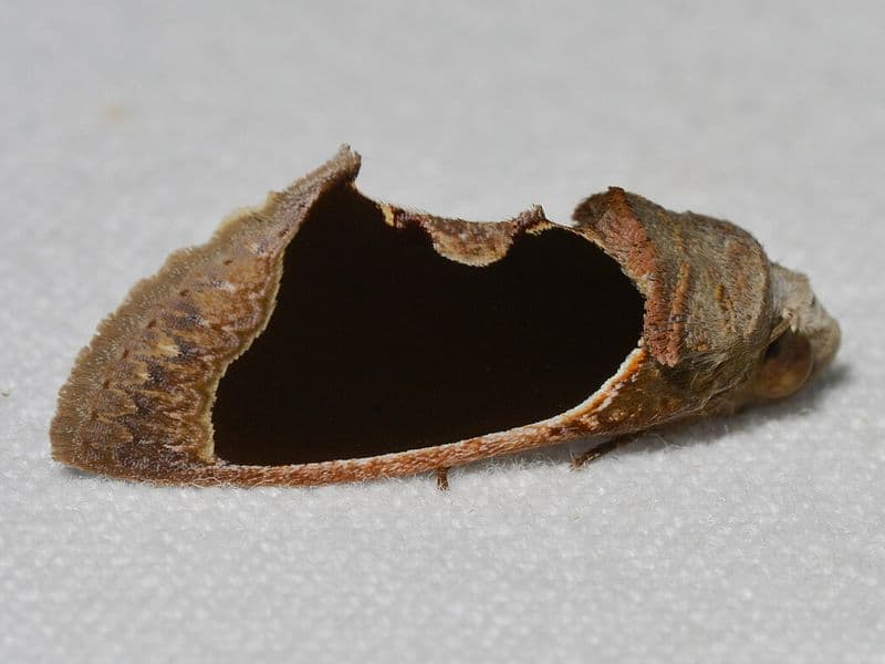 is costa rica safe - What Are the Real Risks?