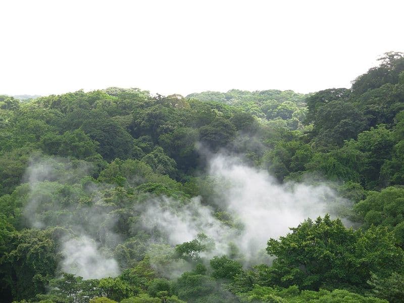 liberia costa rica - Daniel Oduber Airport and Getting There