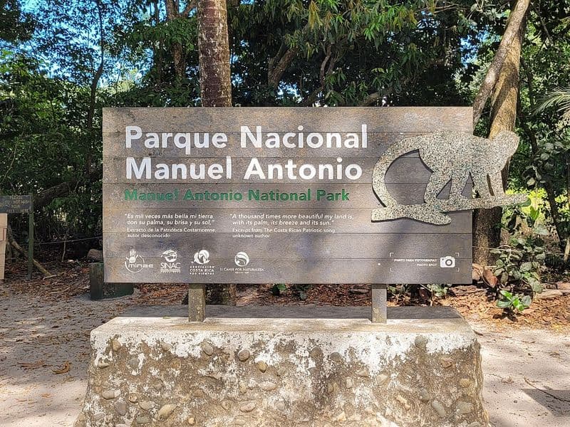 manuel antonio costa rica - Wildlife of Manuel Antonio