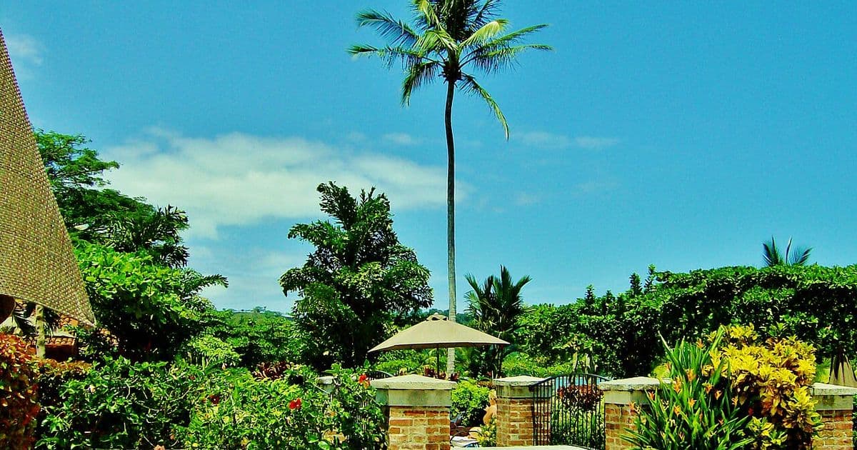 Marriott Costa Rica: Complete Guide to Marriott Hotels and Resorts