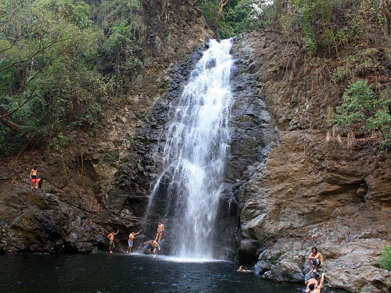 montezuma costa rica - Wildlife and Nature