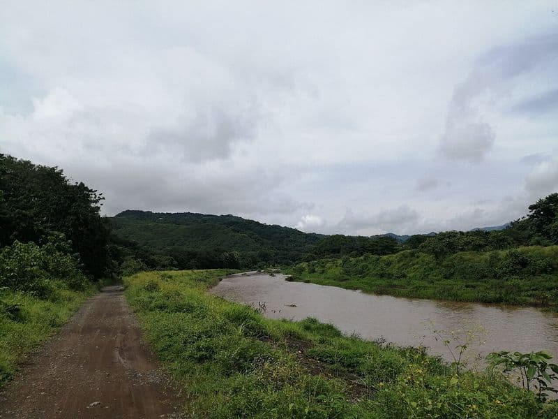 nosara costa rica - Wildlife and Nature Around Nosara