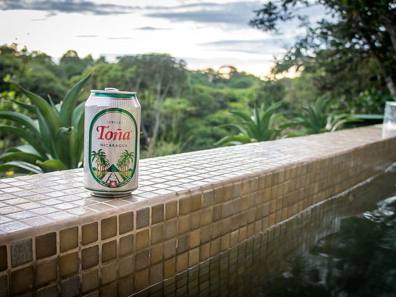 ojochal costa rica - Wildlife and Nature Around Ojochal