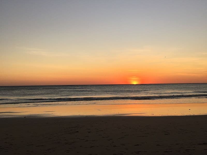 playa grande costa rica - Leatherback Sea Turtle Nesting at Playa Grande