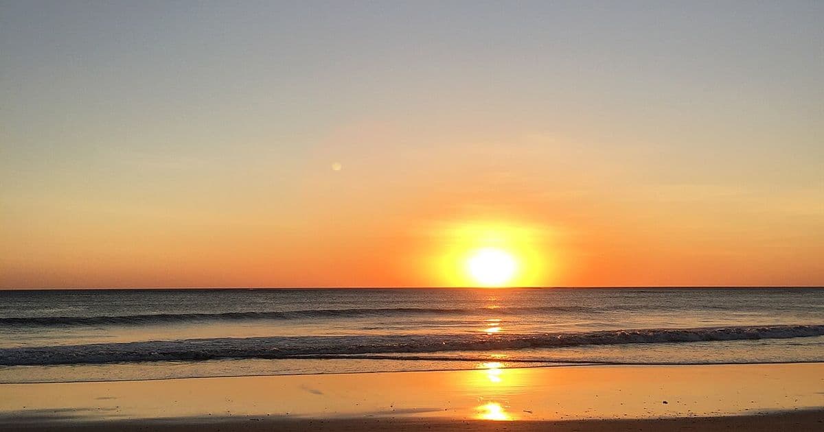 Playa Grande Costa Rica: Leatherback Turtles and Wild Surf in Guanacaste