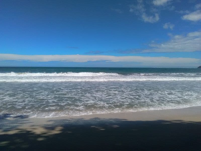 puerto viejo costa rica - Wildlife and Nature