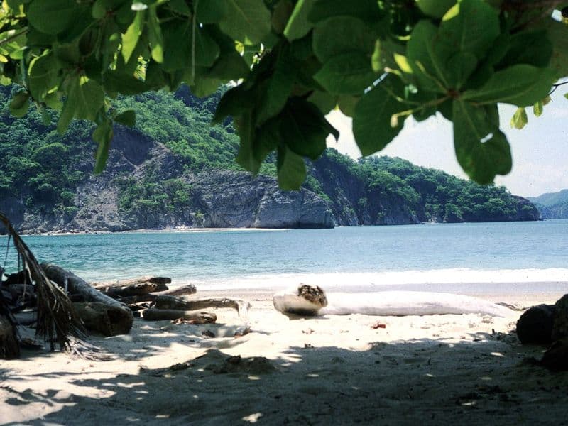 puntarenas costa rica - Getting to Puntarenas