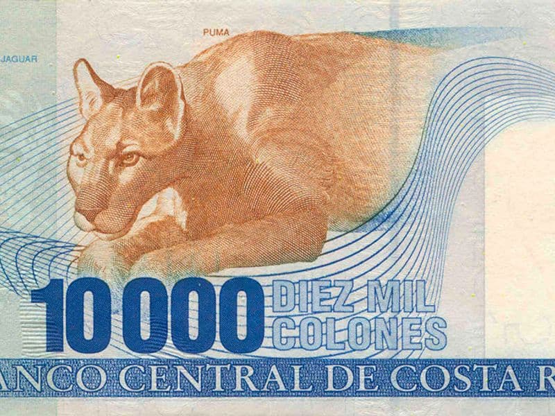 usd to costa rica currency - Current USD to CRC Exchange Rate